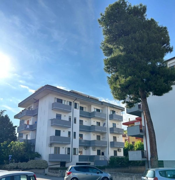 appartamento in vendita a Bellante