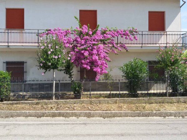 casa indipendente in vendita a Bellante