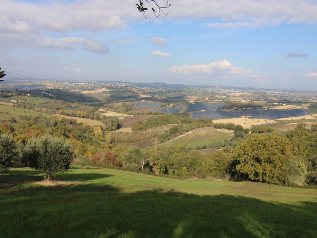 terreno agricolo in vendita a Bellante