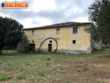 appartamento in vendita a Bellante