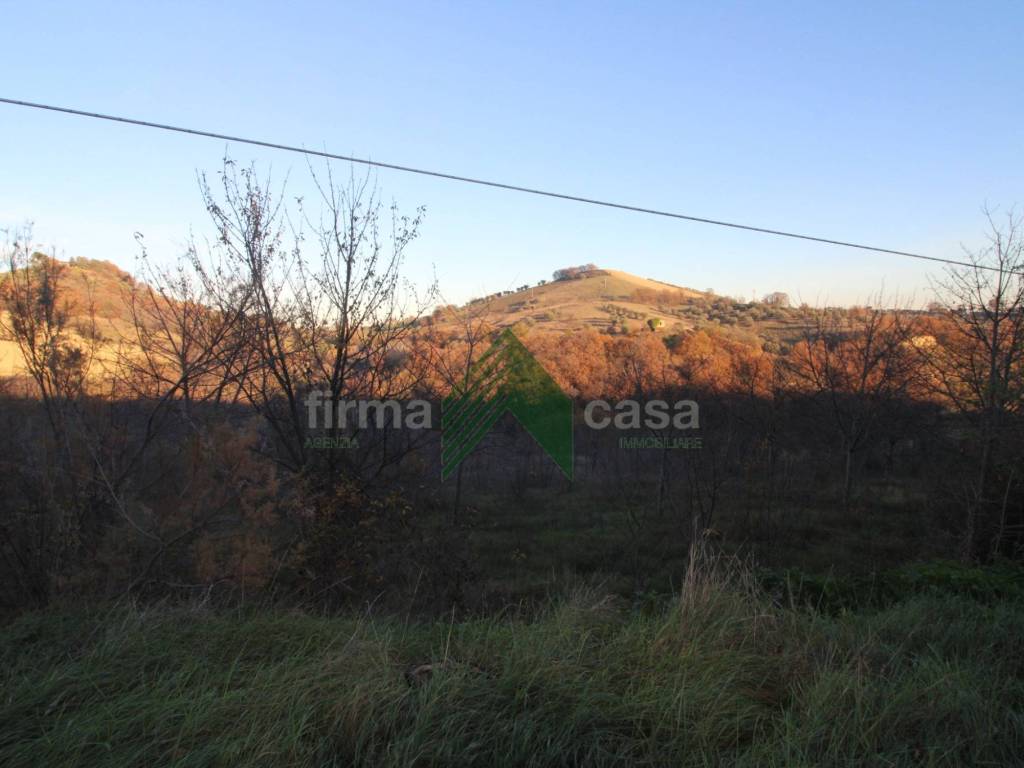 terreno agricolo in vendita a Bellante in zona San Mauro