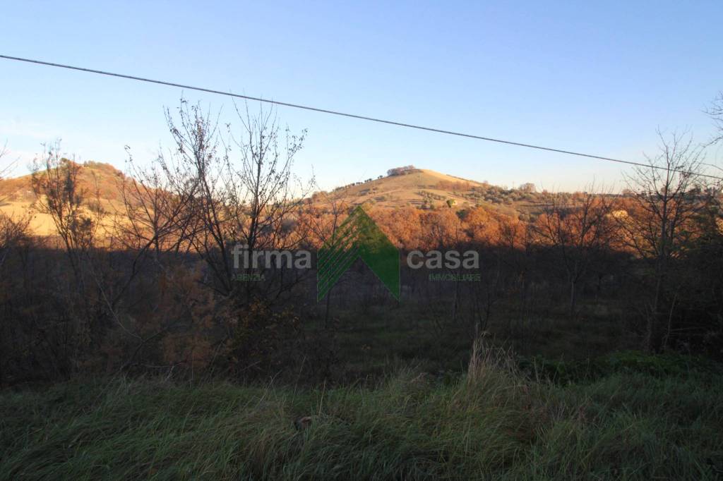 terreno agricolo in vendita a Bellante in zona San Mauro