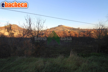 terreno agricolo in vendita a Bellante in zona Bellante Stazione