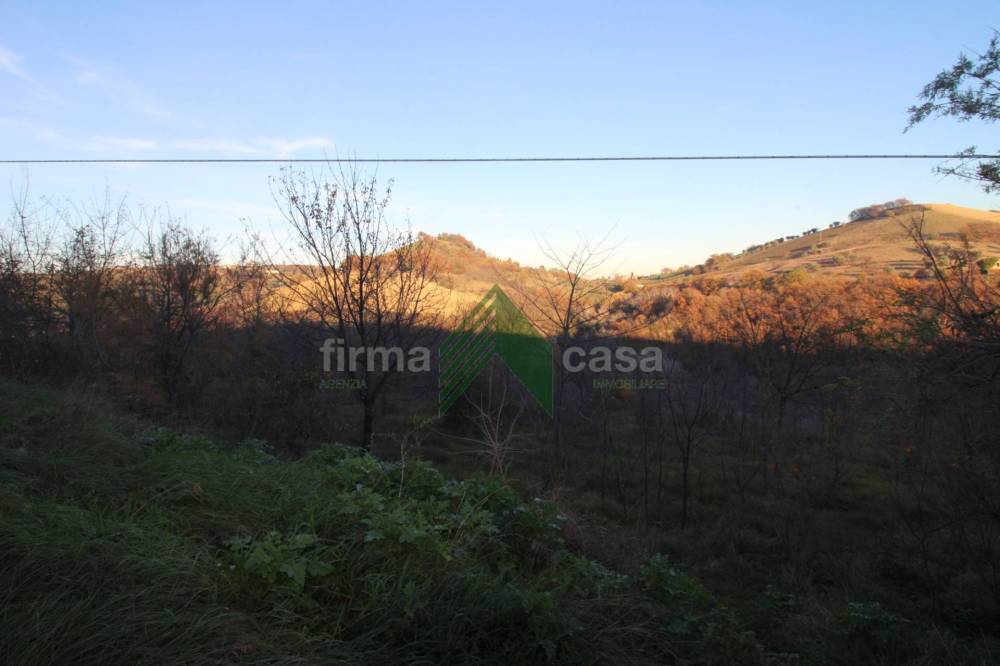 terreno agricolo in vendita a Bellante in zona San Mauro