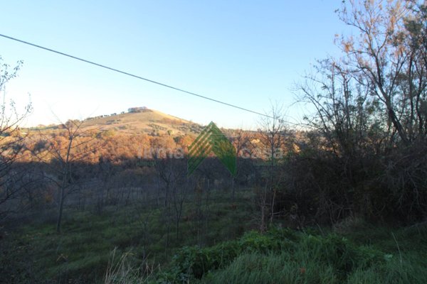 terreno agricolo in vendita a Bellante in zona San Mauro