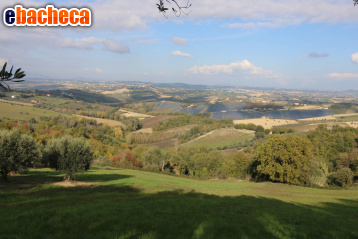 rudere in vendita a Bellante