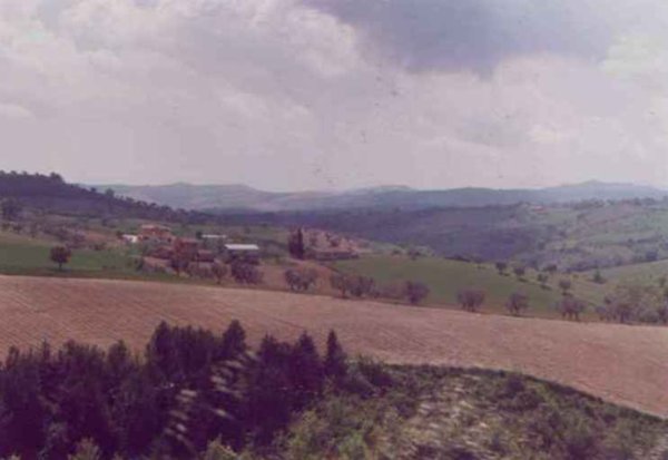 terreno agricolo in vendita a Bellante in zona Chiareto