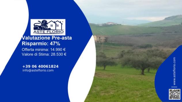 terreno agricolo in vendita a Bellante in zona Ripattoni