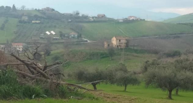 terreno agricolo in vendita a Bellante in zona Ripattoni