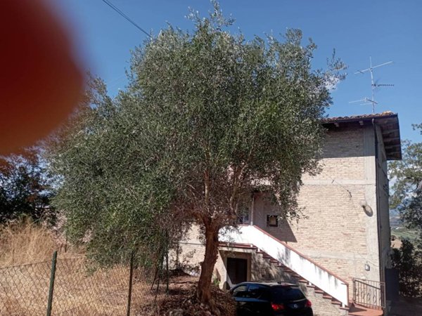 casa indipendente in vendita a Bellante