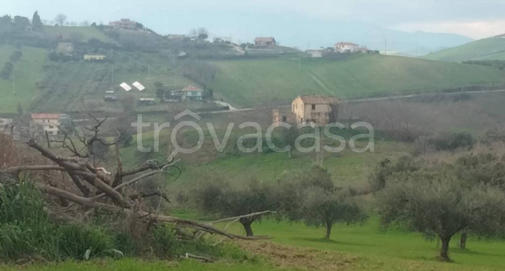 terreno agricolo in vendita a Bellante in zona Ripattoni