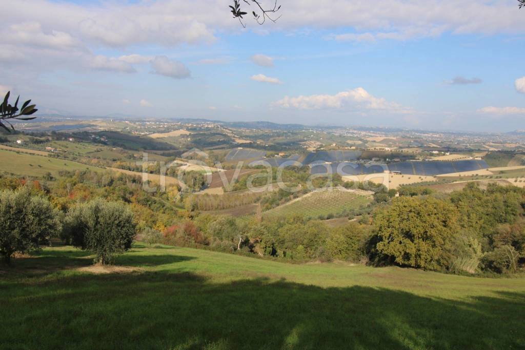 terreno agricolo in vendita a Bellante