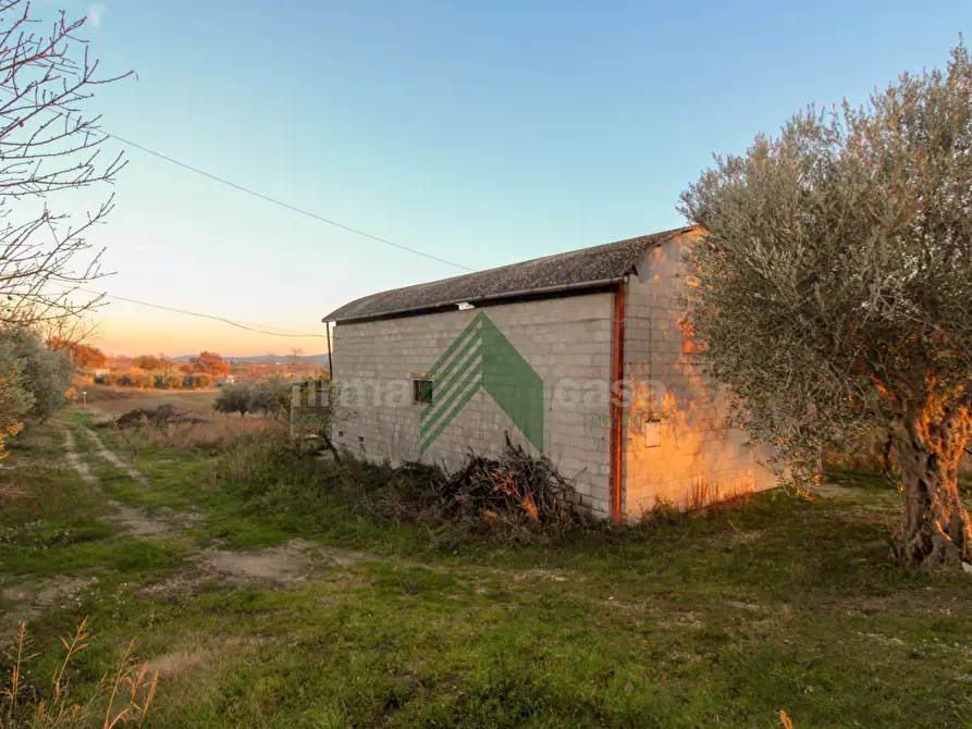 locale di sgombero in vendita a Bellante in zona Bellante Stazione
