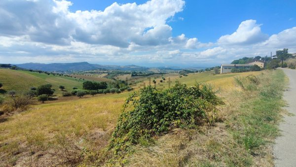 terreno agricolo in vendita a Bellante