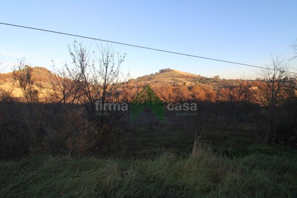terreno agricolo in vendita a Bellante in zona San Mauro
