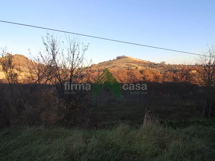 terreno agricolo in vendita a Bellante in zona San Mauro