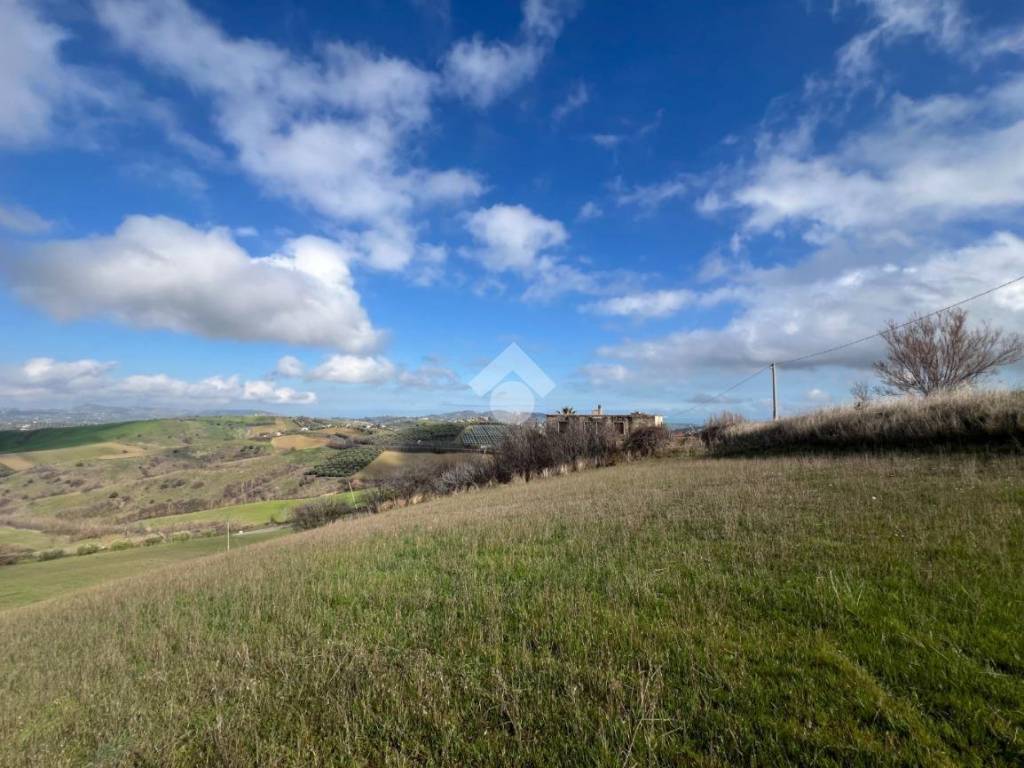 terreno agricolo in vendita a Bellante