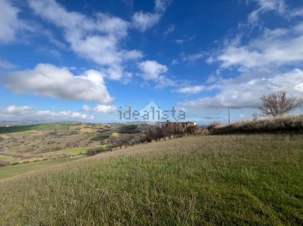 terreno agricolo in vendita a Bellante
