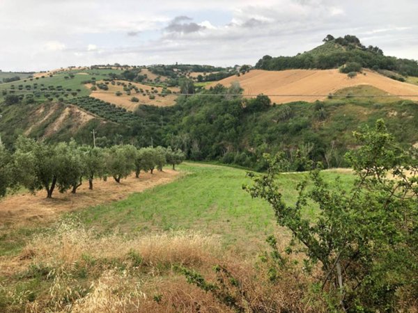 terreno agricolo in vendita a Bellante in zona San Mauro