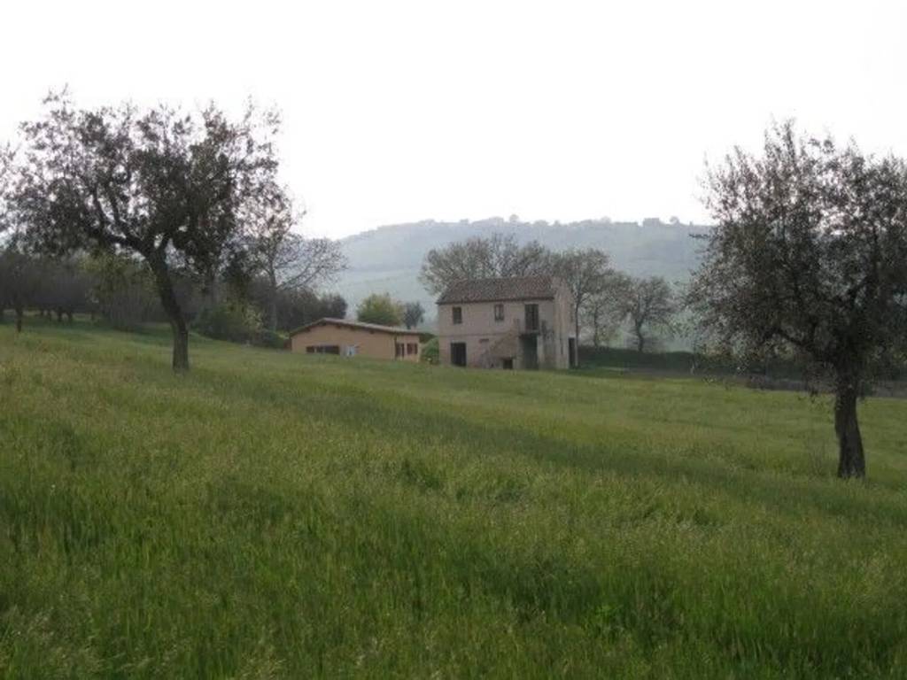 casa indipendente in vendita a Bellante