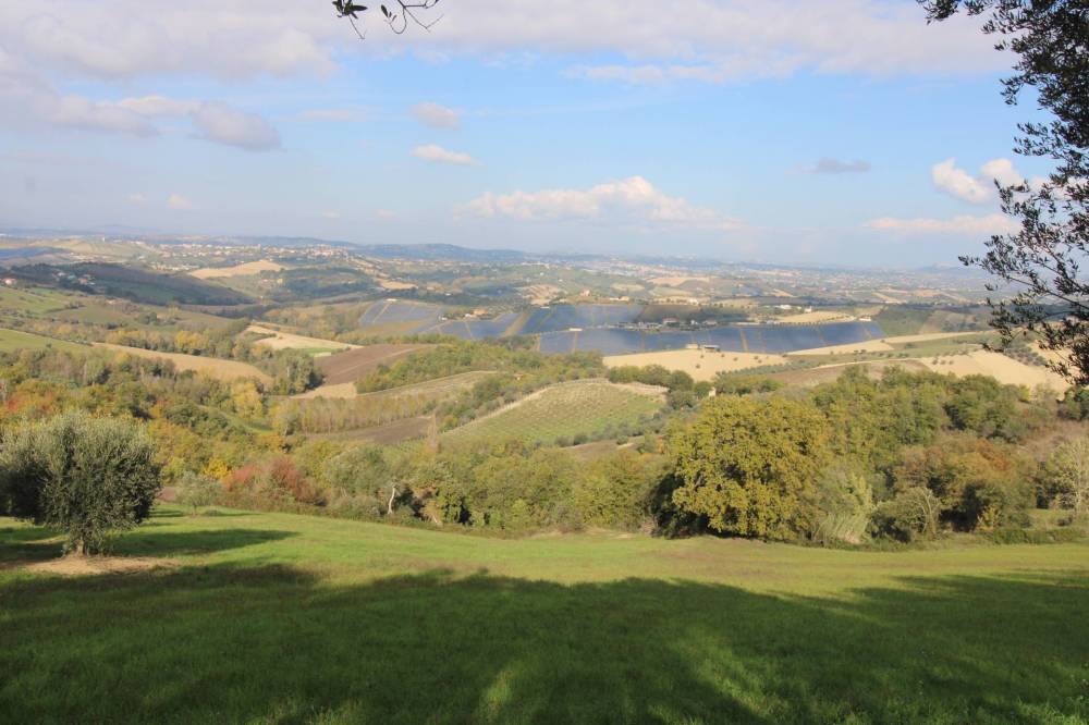 rudere in vendita a Bellante in zona Collerenti