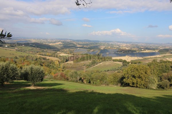terreno agricolo in vendita a Bellante