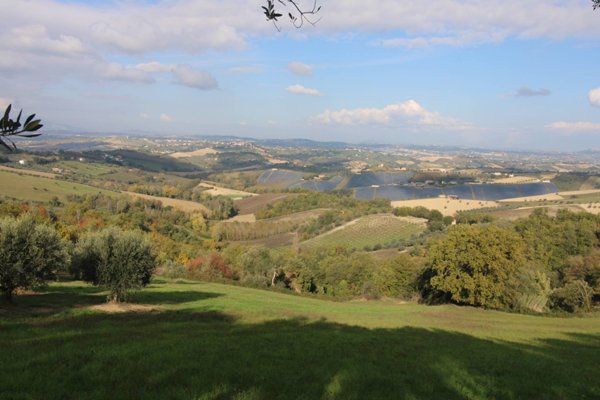 terreno agricolo in vendita a Bellante