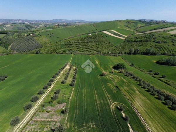 terreno agricolo in vendita a Bellante in zona San Mauro