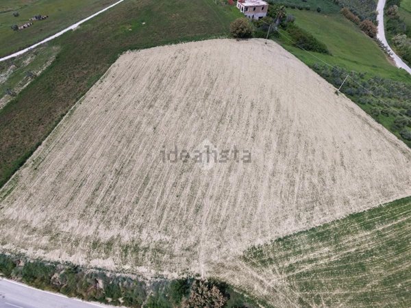 terreno agricolo in vendita a Bellante in zona San Mauro