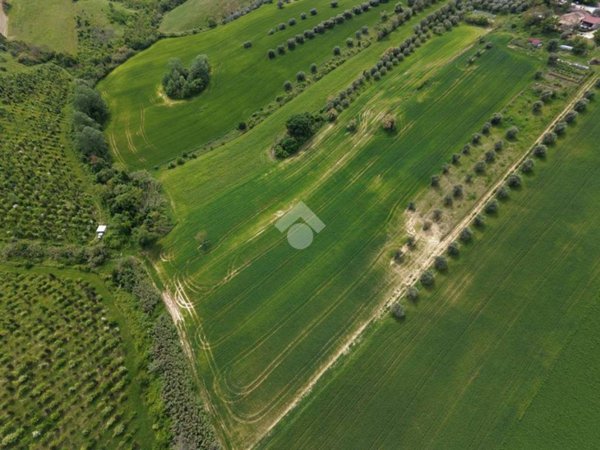 terreno agricolo in vendita a Bellante in zona Collerenti