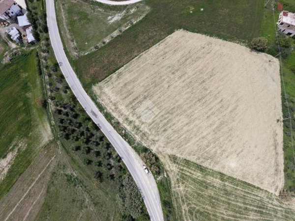 terreno agricolo in vendita a Bellante in zona San Mauro