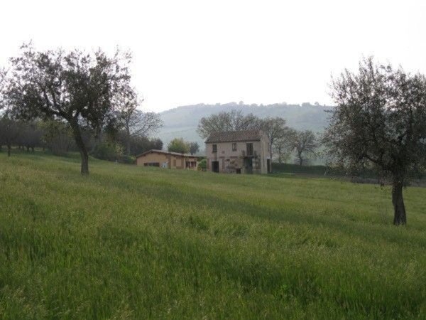 casale in vendita a Bellante