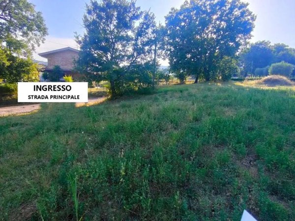 terreno agricolo in vendita a Campli in zona Piancarani