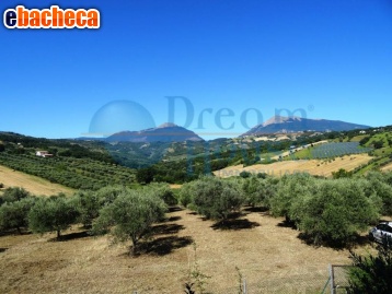 terreno agricolo in vendita a Campli in zona Molviano