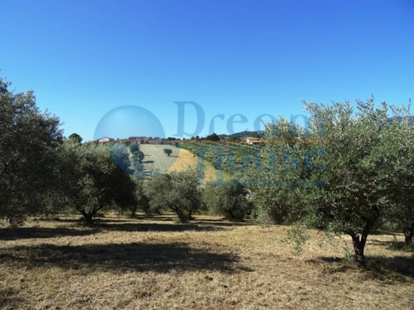 terreno agricolo in vendita a Campli in zona Molviano