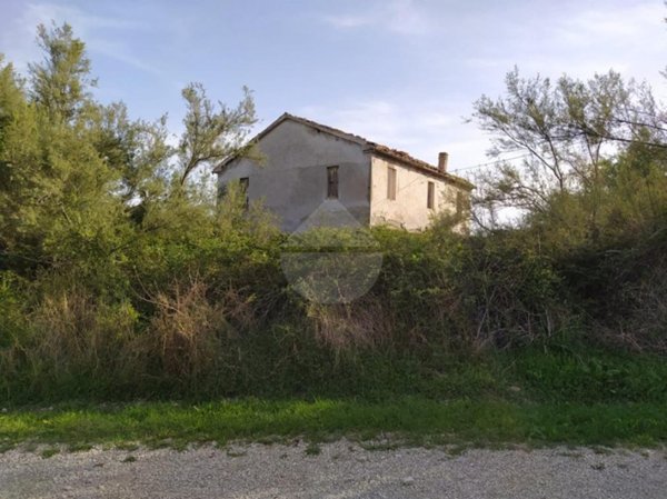 azienda agricola in vendita a Campli in zona Piancarani