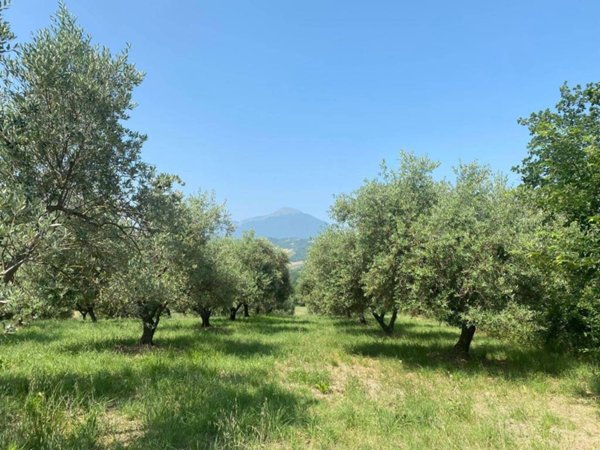 terreno agricolo in vendita a Campli in zona Molviano