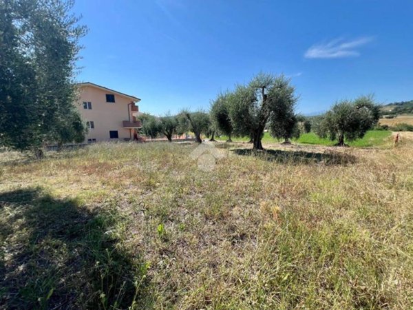 terreno agricolo in vendita a Campli