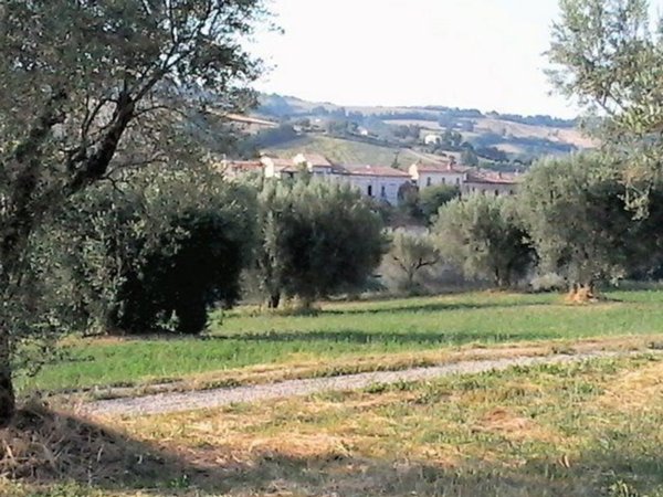 casa indipendente in vendita a Campli