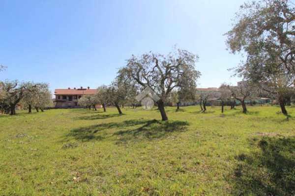 terreno edificabile in vendita a Campli in zona Piancarani