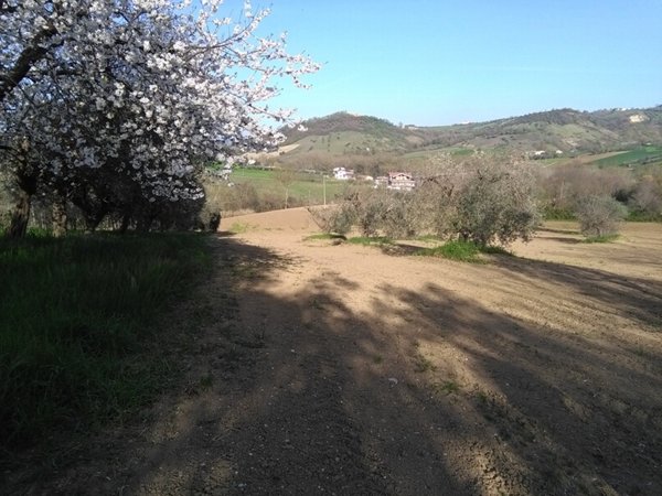 terreno agricolo in vendita a Campli in zona Floriano