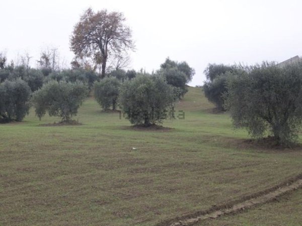 casa indipendente in vendita a Campli