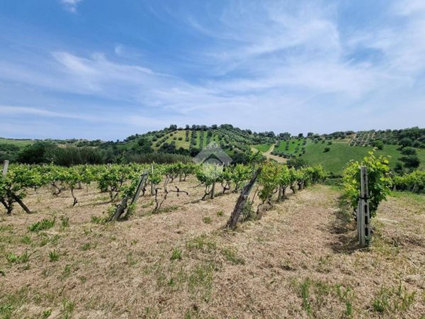 terreno agricolo in vendita a Castellalto in zona Castelbasso