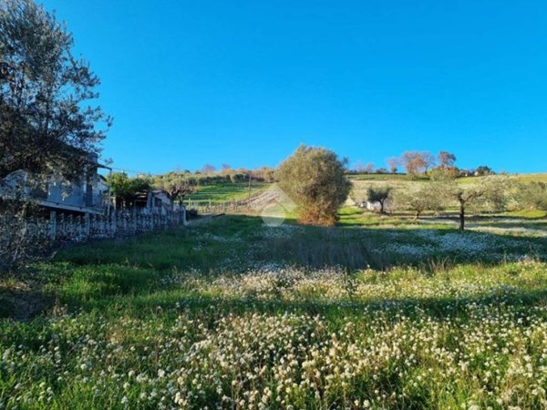 terreno agricolo in vendita a Castellalto in zona Castelnuovo Vomano