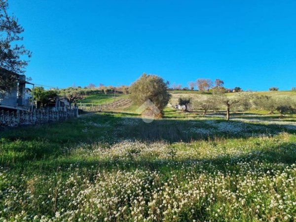 terreno agricolo in vendita a Castellalto in zona Castelnuovo Vomano