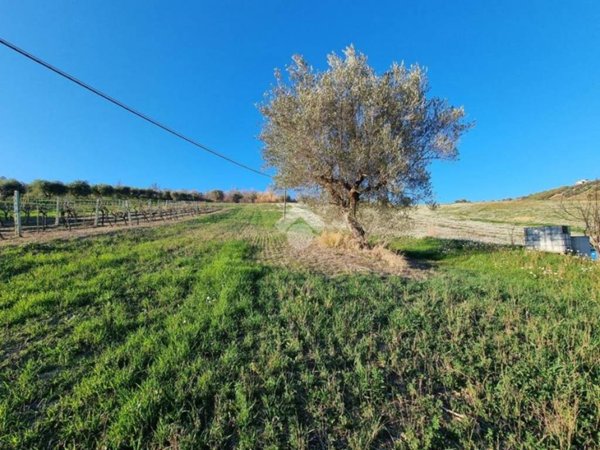 terreno agricolo in vendita a Castellalto in zona Castelnuovo Vomano
