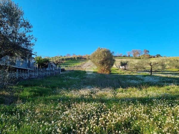 terreno agricolo in vendita a Castellalto in zona Castelnuovo Vomano