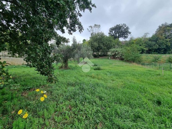 terreno agricolo in vendita a Castellalto in zona Castelnuovo Vomano
