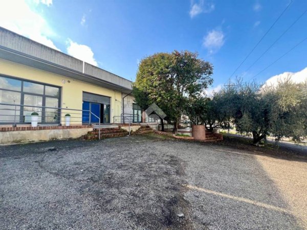 negozio in vendita a Castellalto in zona Casemolino