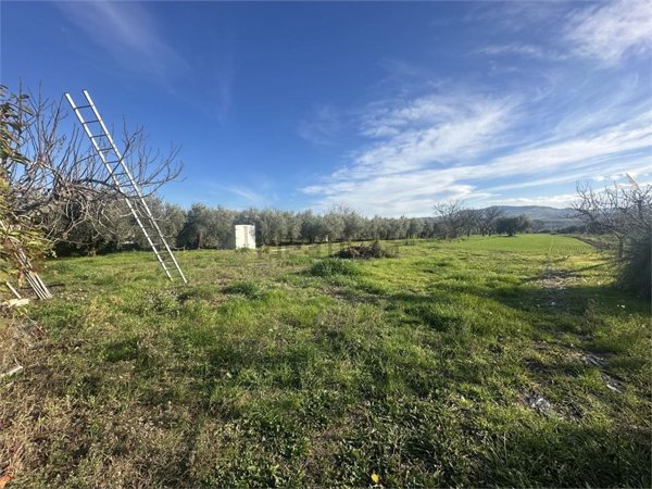terreno agricolo in vendita a Castellalto in zona Castelnuovo Vomano